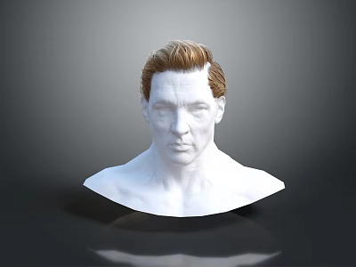Detailed White Male Bust Sculpture With Brown Hair On Gray Background 3d model