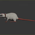 Fierce Animated White Rat Character With Red Eyes Claws Tail And Collar