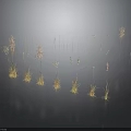 Golden Grass Plants on Black Background with Natural Reflections and Elegant Stems