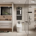 Modern Bathroom Interior Design With Vanity Mirror Toilet Shower And Storage Cabinets