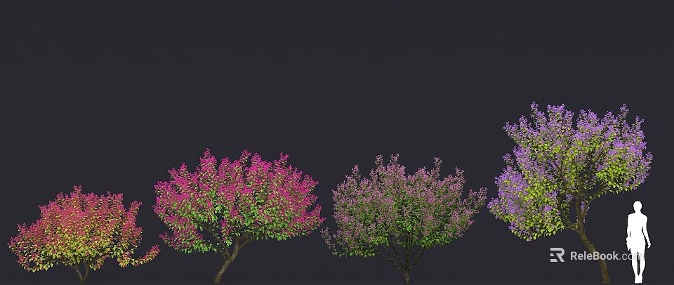 Colorful Flowering Arbor Trees With Pink Purple Blooms On Dark Background 3d model 