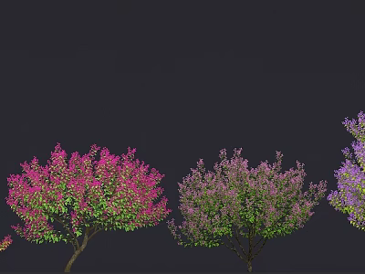 Colorful Flowering Arbor Trees With Pink Purple Blooms On Dark Background 3d model