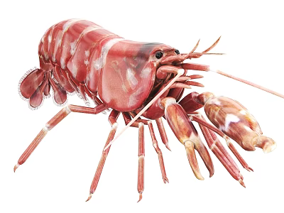 Vibrant Red Lobster Featuring Long Antennae Sharp Claws And Detailed Body 3d model