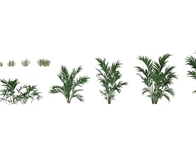 Various Indoor Green Plants With Lush Foliage For Home Decoration Ideas 3d model