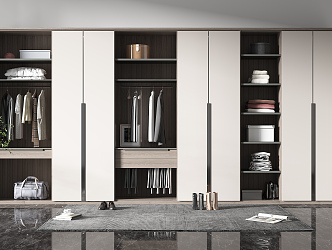 Modern wardrobe 3d model