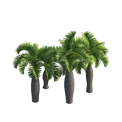 Multiple Palm Arbor Trees with Textured Trunks and Lush Green Fronds 3d model