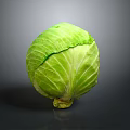 Fresh Green Cabbage With Vibrant Leaves Round Shape On Dark Background