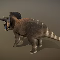 Realistic Triceratops 3D Model with Large Frill Brown Body Horns and Standing Pose