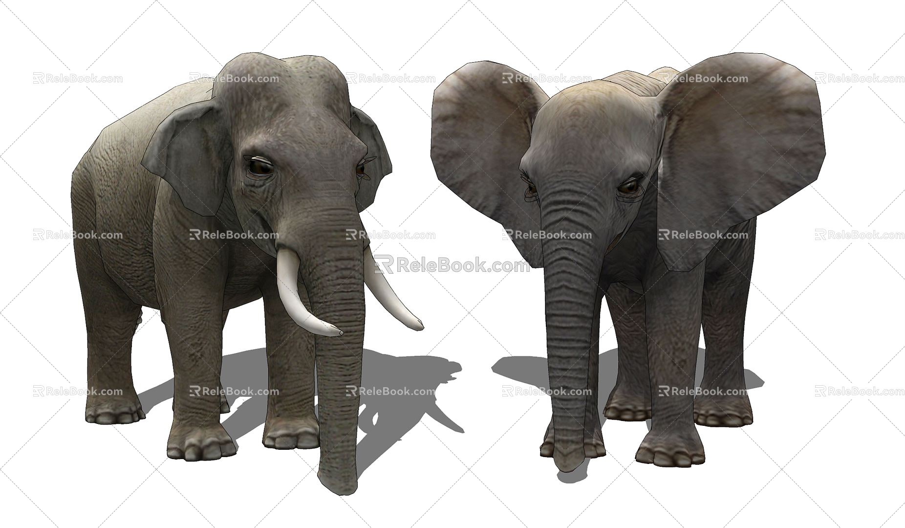 Modern Elephant Elephant Animal 3d model