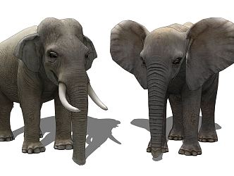 Modern Elephant Animal 3d model