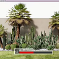 Nordic wind plant combination plant heap cactus palm tree 3d model