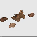 Various Brown Mushroom Fungi Plants With Different Shapes On Gray Background