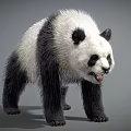 Black and White Standing Panda With Open Mouth In 3D Rendered 3d model