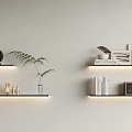 Modern Wall Mounted Shelving Unit With LED Strip Lights Books Fern Plant And Photo Frames