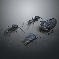 Realistic Black Ant And Beetle Insects 3D Render On Gray Background 3d model