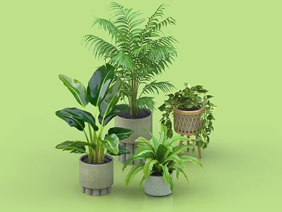 Various Types of Potted Plants in Concrete and Wicker Containers on Green Background 3d model