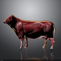Cow Muscle Anatomy 3D Anatomical Model Showing Detailed Muscular Structure