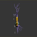 eukaryotic cell cross section cell cell structure cell tissue anatomy organ human organ 3d model