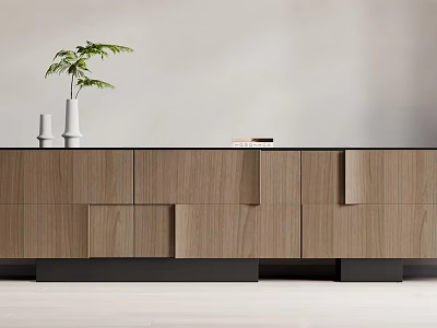 Modern Wooden Decorative Cabinet With Vase Plant And Simple Door Design 3d model