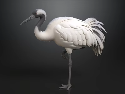 White Crane With Black Head And Neck Standing On One Leg Against Dark Background 3d model