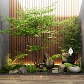 New Chinese Courtyard Landscape Setches Indoor Plants Landscape Landscaping Maple Stone Rock Bamboo Moss 3d model