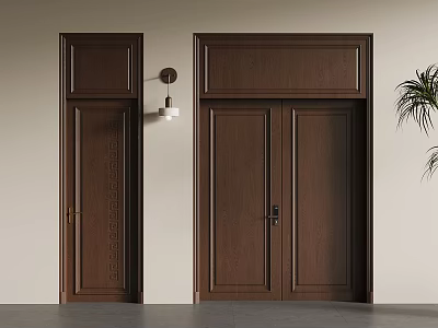 Dark Brown Wooden Double Doors With Single Door Wall Lamp And Potted Plant 3d model