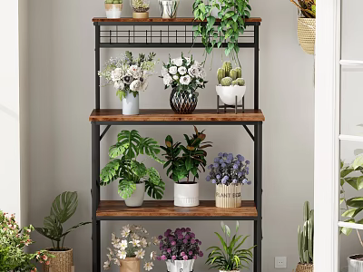 Indoor Multi tiered Decorative Shelf With Potted Plants and Flower Vases 3d model