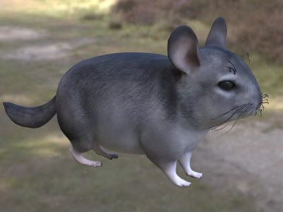 Gray Reptile Standing In Natural Grassland Habitat With Green Plants Background 3d model