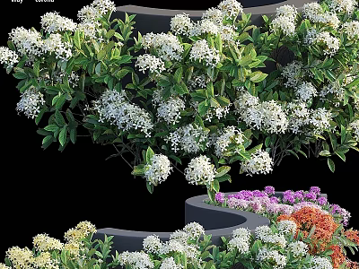 Vibrant Tiered Garden Decor With White Flowers Green Foliage And Purple Orange Blooms 3d model