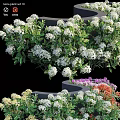 Vibrant Tiered Garden Decor With White Flowers Green Foliage And Purple Orange Blooms
