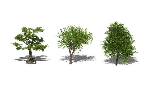 Modern Tree Planting 3d model