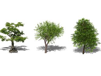 Modern Tree Planting 3d model