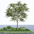 Tall Arbor Tree With Lush Green Leaves Small Flowers And Surrounding Plants On Landscaped Ground