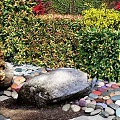 Vibrant Living Plant Wall With Red Green Foliage And Stone Border Design