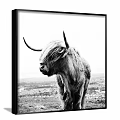 Black and White Highland Cow Framed Animal Painting with Scenic Landscape Background