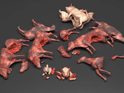 Reptile Dissected Body Parts In Red White With Various Sizes On Grey Background 3d model