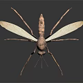 3D Rendered Flying Mosquito With Slender Legs Transparent Wings And Red Abdomen On Dark Background