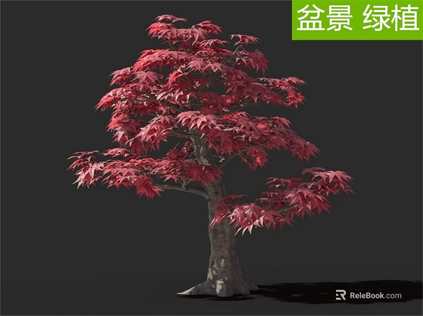 Beautiful Red Leaf Bonsai Arbor with Lush Foliage and Natural Trunk 3d model 