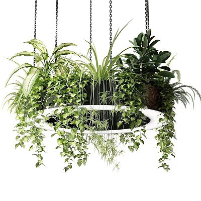 Stylish Circular Chandelier Featuring Hanging Green Plants And Foliage 3d model