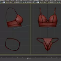 Burgundy Lace Women's Lingerie Set Featuring Bra and Panty