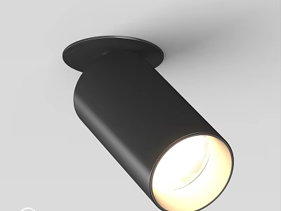 Sleek Black Downlight Spotlight Modern Ceiling Mounted Warm Lighting Fixture 3d model