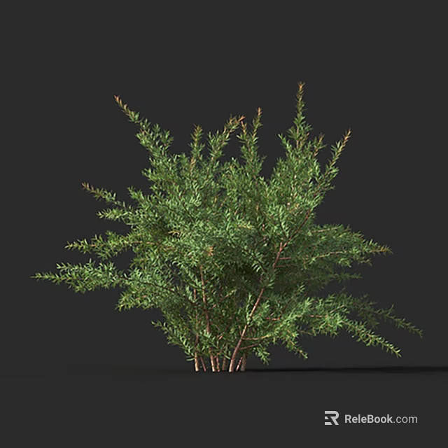 Green Leafy Shrub Bushes With Dense Branches For Outdoor Garden Landscaping 3d model 
