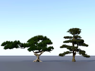 Two Arbor Trees With Curved Branches And Layered Crown Against Blue Sky 3d model