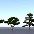 Two Arbor Trees With Curved Branches And Layered Crown Against Blue Sky