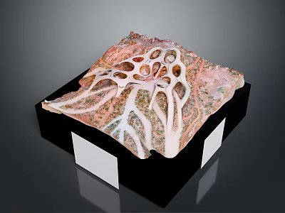 Pink And White Artistic Resin Sculpture With Intricate Hole Texture On Black Base 3d model