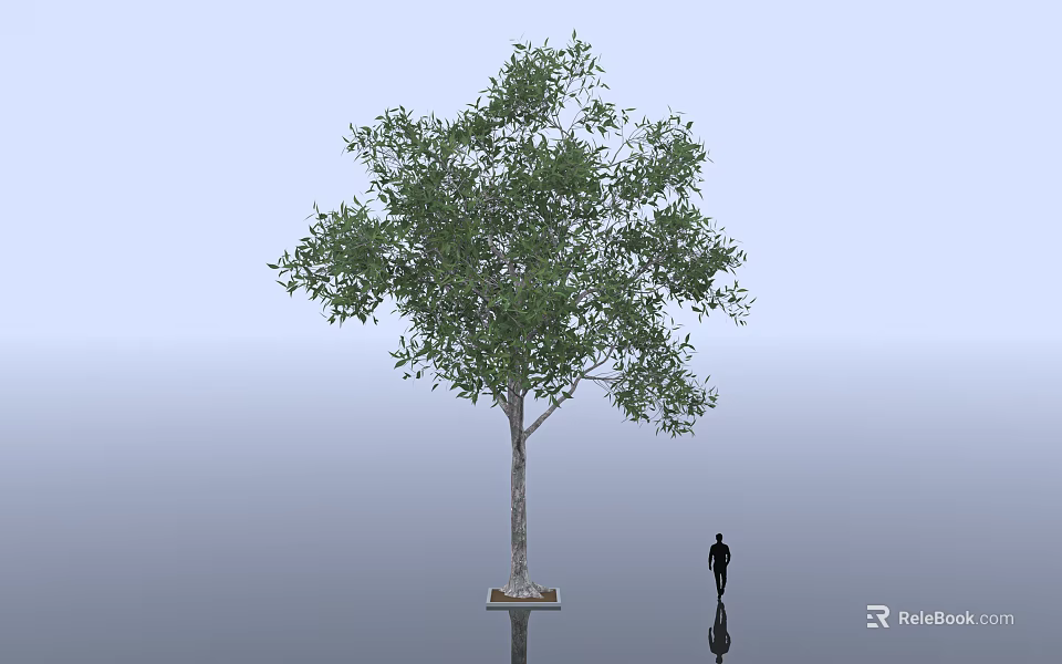 Tall Tree With Green Leaves Brown Trunk And Human Figure On Gray Background 3d model 