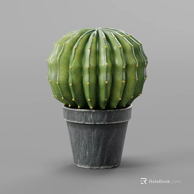 Green Barrel Cactus Potted Plant in Gray Ceramic Pot for Indoor Decoration 3d model 