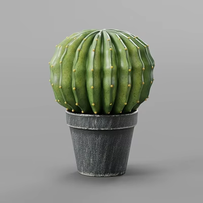 Green Barrel Cactus Potted Plant in Gray Ceramic Pot for Indoor Decoration 3d model