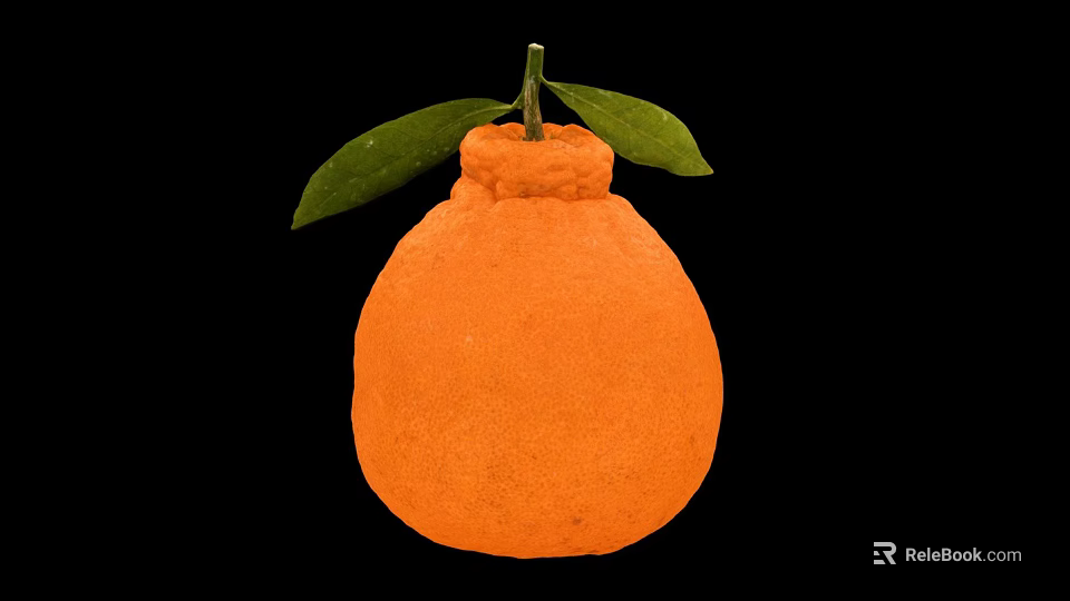 Fresh Ripe Orange Colored Citrus Fruit With Green Leaves And Stem On Black Background 3d model 