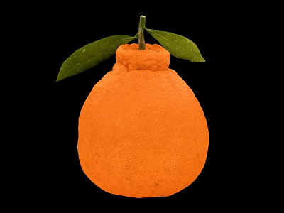 Fresh Ripe Orange Colored Citrus Fruit With Green Leaves And Stem On Black Background 3d model